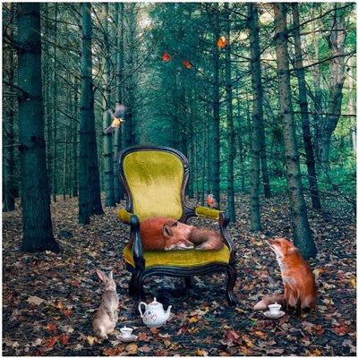 The Secret Hour by Morgan Jones